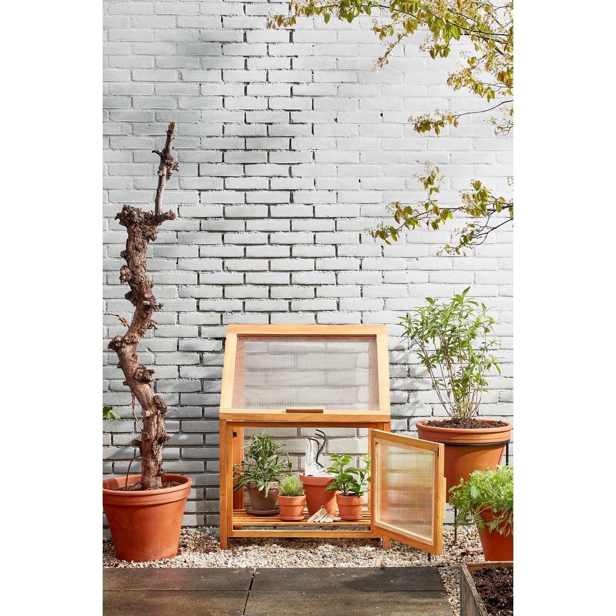 Caminia Greenhouse - L60 x W42 x H77 cm - Mahogany