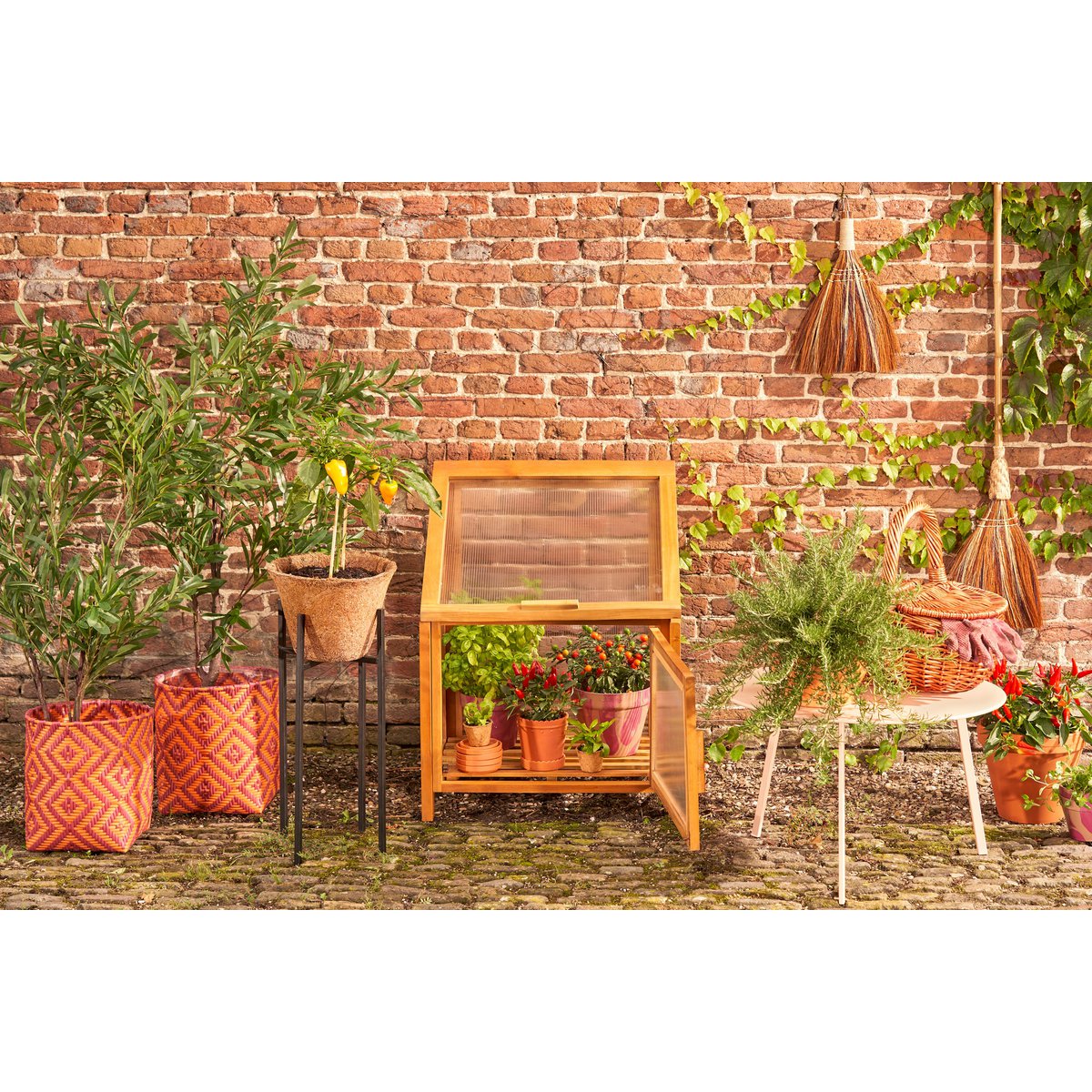 Caminia Greenhouse - L60 x W42 x H77 cm - Mahogany