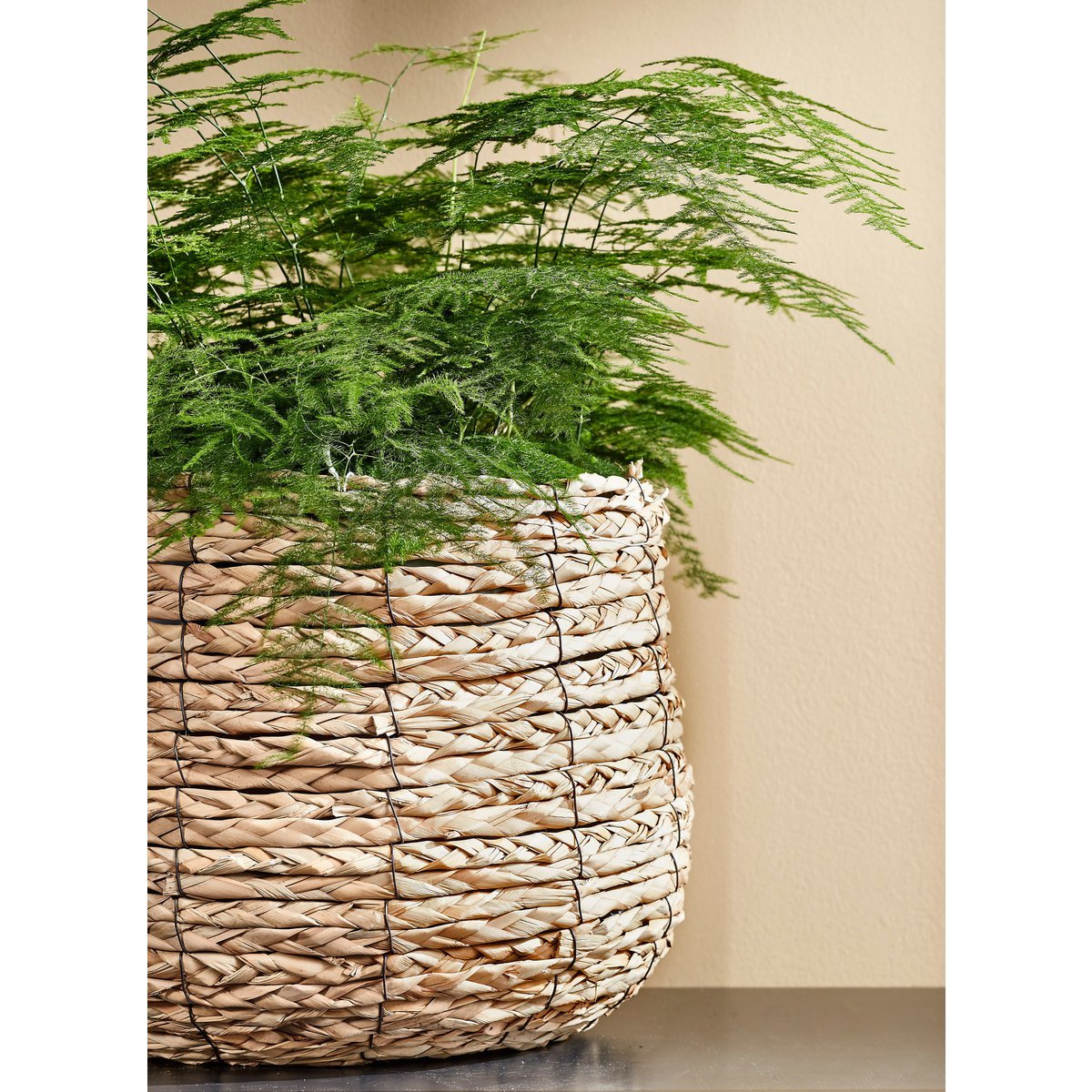 Avalon Plant Basket - Set of 3 - H31 x Ø30 cm - Seagrass - Light brown