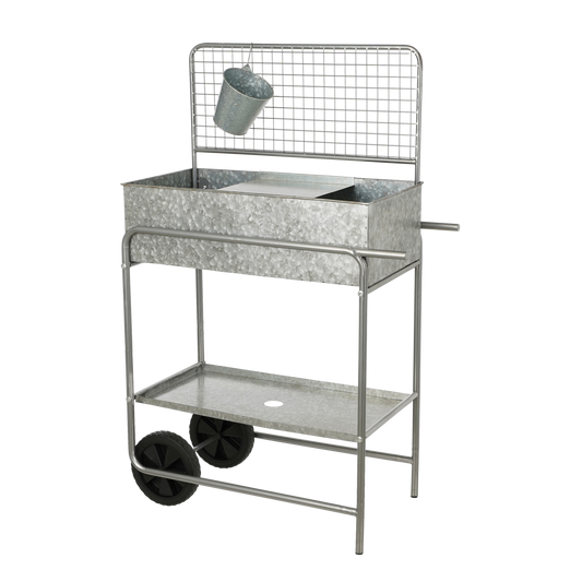 Ken Grow Table - L77 x W38 x H119 - Galvanized sheet steel