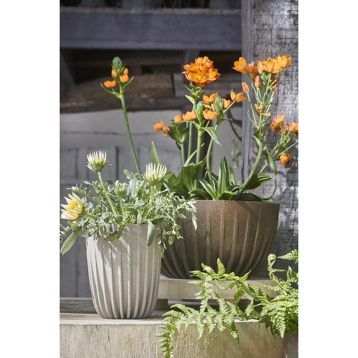 Lungo Flower Pot - H36 x Ø30 cm - Polypropylene - FSC Mix - Off White